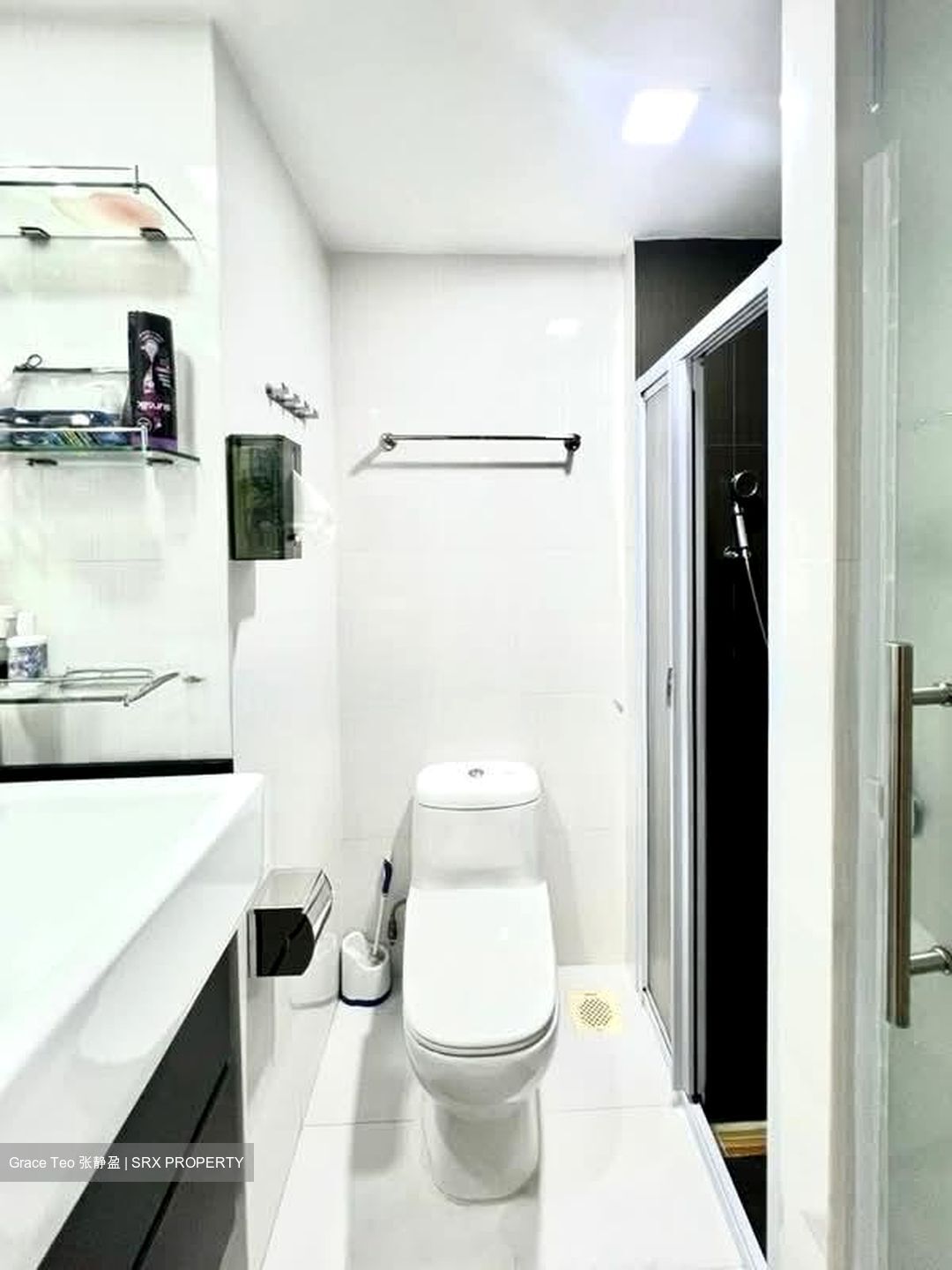 Chantilly Rise (D23), Condominium #531160861
